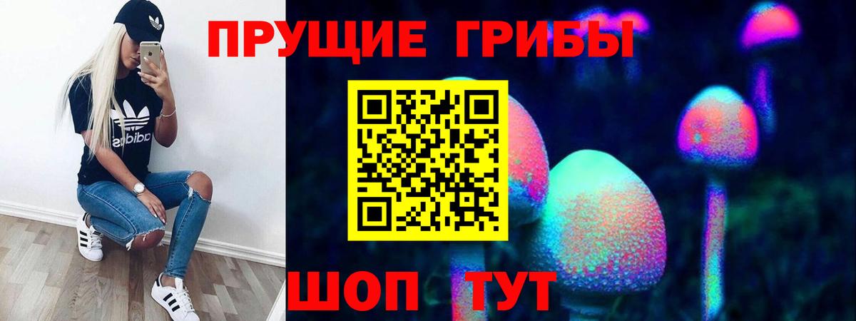 Галлюциногенные грибы MAGIC MUSHROOMS  Вход с VPN  Шумерля  Псилоцибиновые грибы мицелий 
